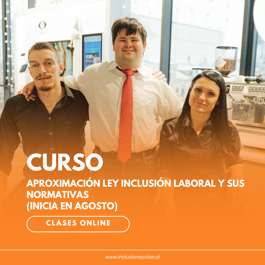 Curso aproximación ley inclusión laboral y sus normativas (inicia en agosto)